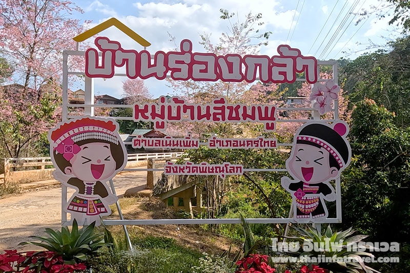 บ้านร่องกล้า