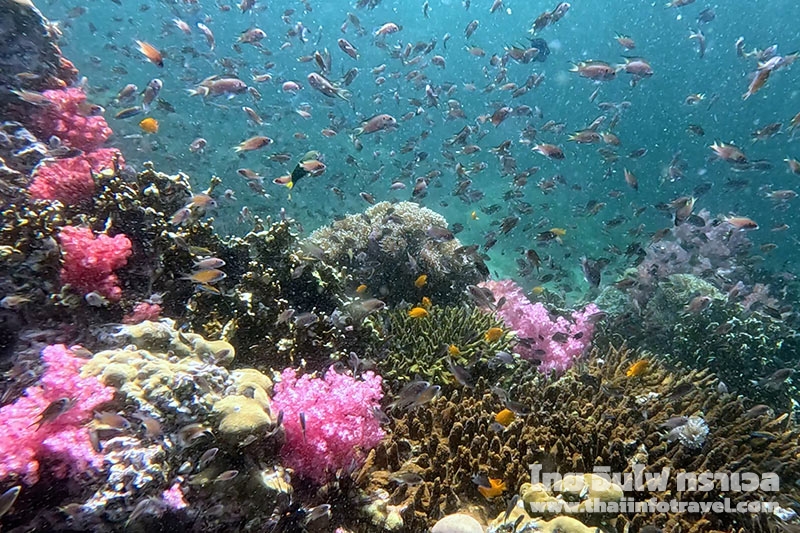 ร่องน้ำจาบัง