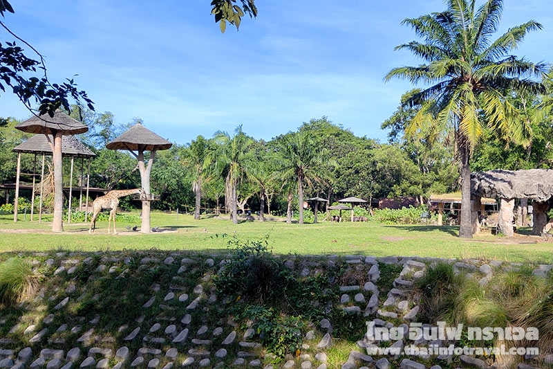 สวนสัตว์เปิดเขาเขียว