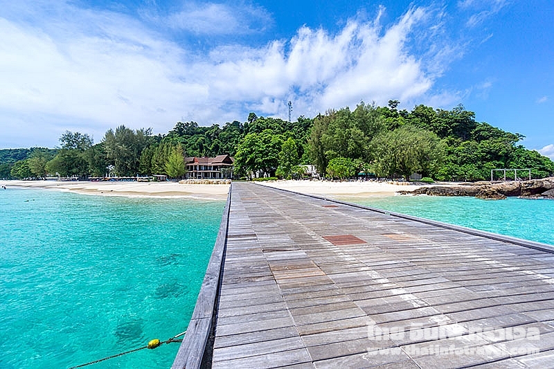 เกาะไม้ท่อน