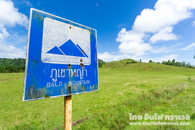 ภูเขาหญ้า