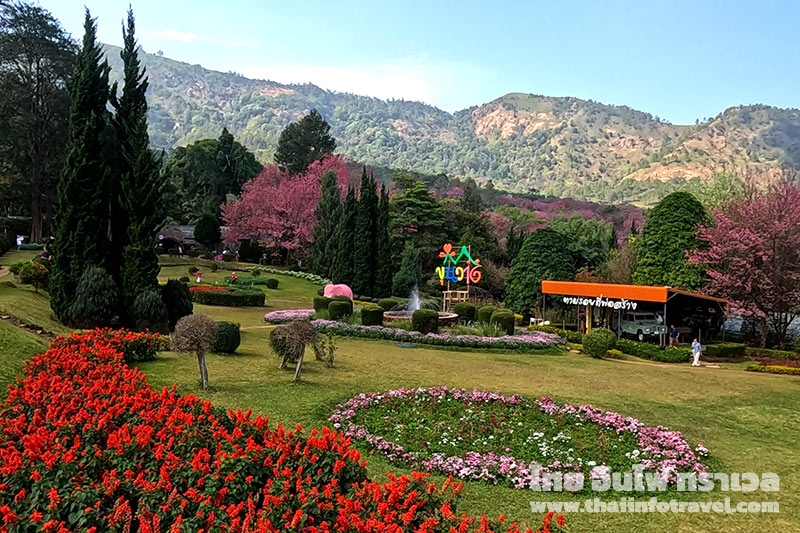 อุโมงซากุระ ขุนวาง