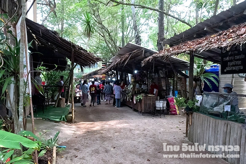 ตลาดใต้โหนด