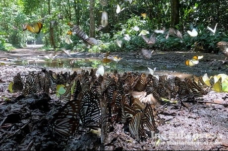 บ้านกร่างแคมป์