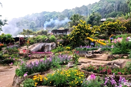 หมู่บ้านชาวเขาเผ่าม้งดอยปุย