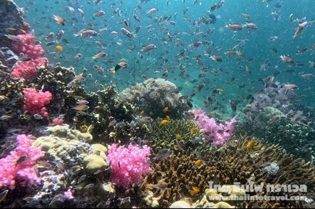 ร่องน้ำจาบัง