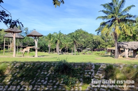 สวนสัตว์เปิดเขาเขียว