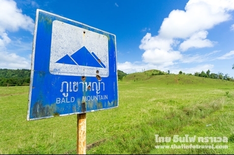 ภูเขาหญ้า