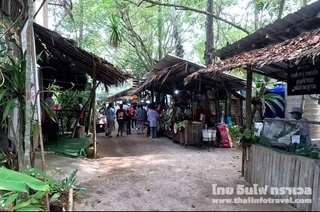 ตลาดใต้โหนด