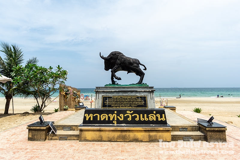 ทุ่งวัวแล่น